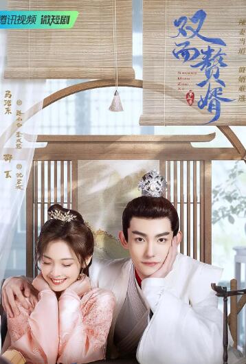 双面赘婿第2季(全集)