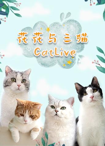 花花与三猫catlive20190801期