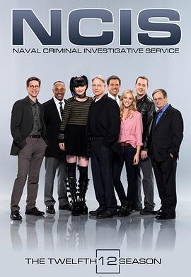 海军罪案调查处第十二季第17集