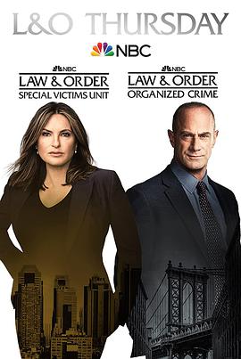 法律与秩序：特殊受害者第二十三季第02集