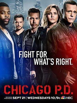 芝加哥警署第四季第08集